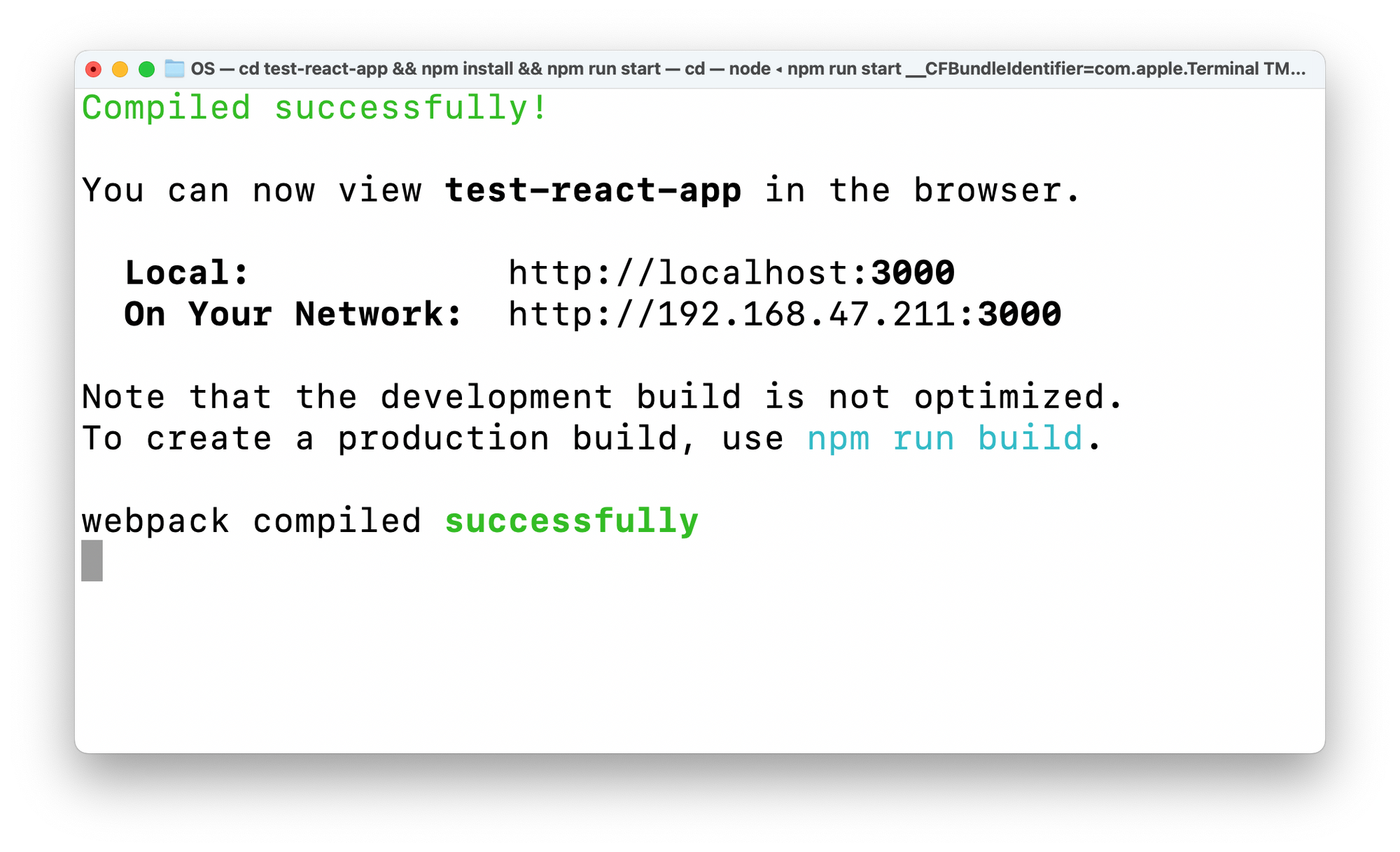 Starting the test React application.